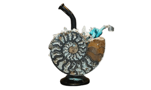 Envy Glass Ammonite Heady Dab Rig